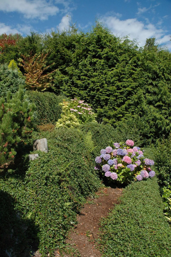 At The Shore Bed and Breakfast