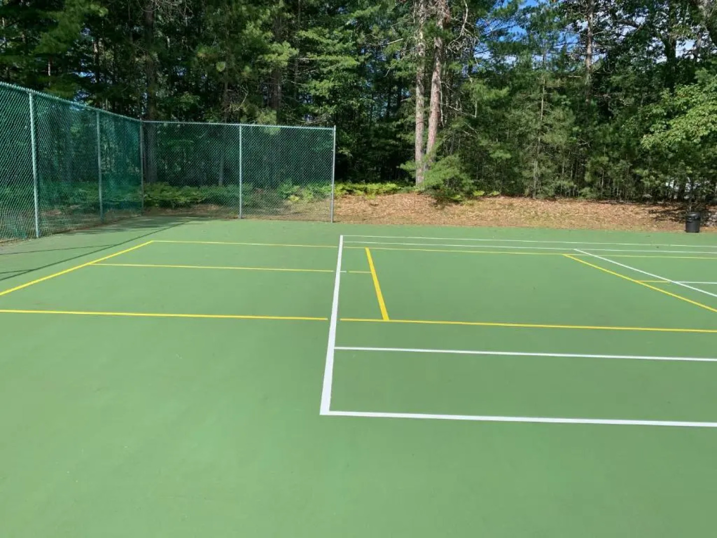 Gabe's Lost Resort - Arbor Viate #31