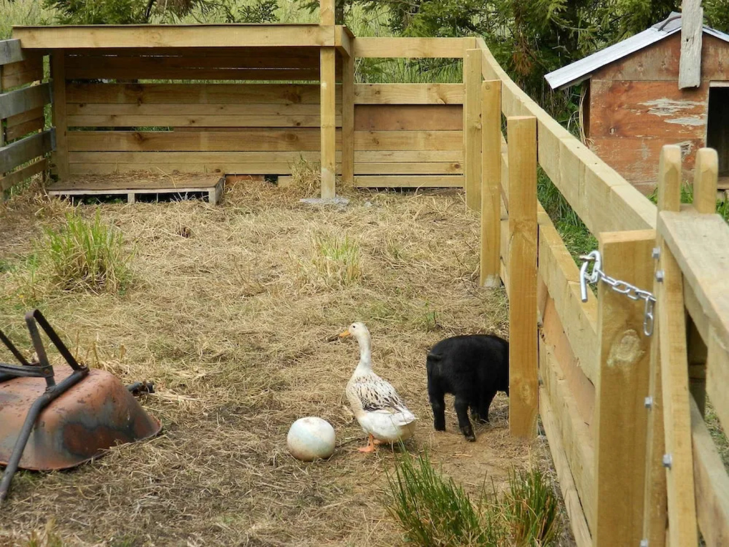 The Villa Bed And Breakfast