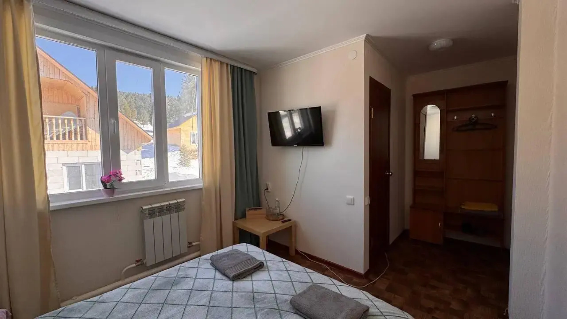 Кедр Золотой