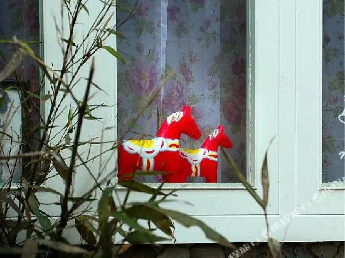 凤凰柴棵棵彩虹旅店