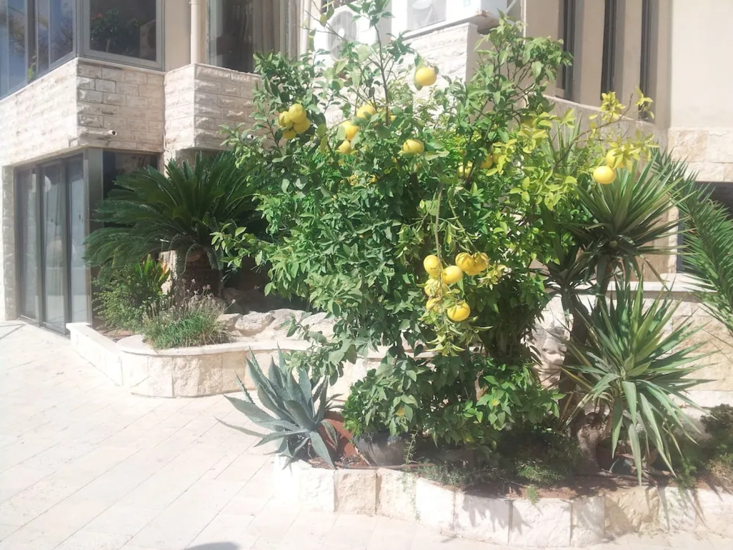 Marom Residence Romema