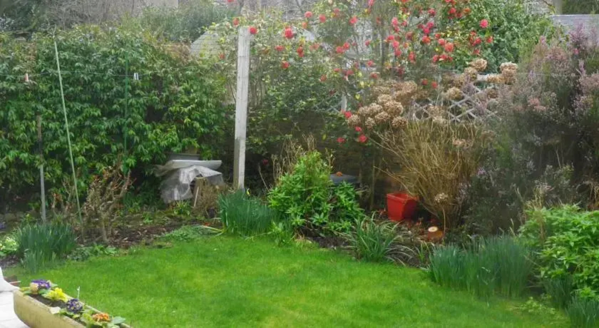 Chambre dhôtes Les Orchidées