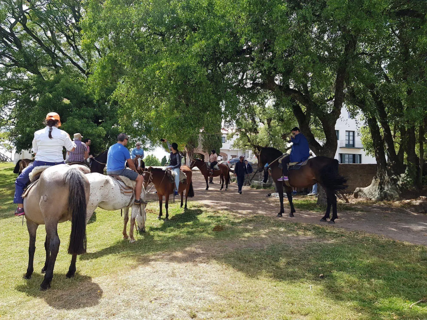 San Pedro de Timote Hotel del Campo