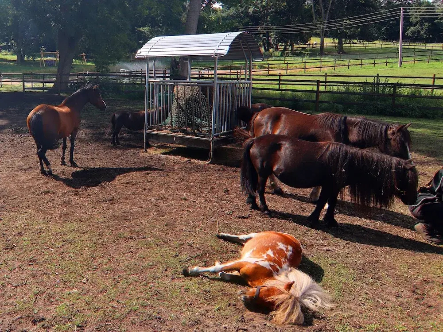 Holiday Home Near Schlosshotel Wendorf Golf