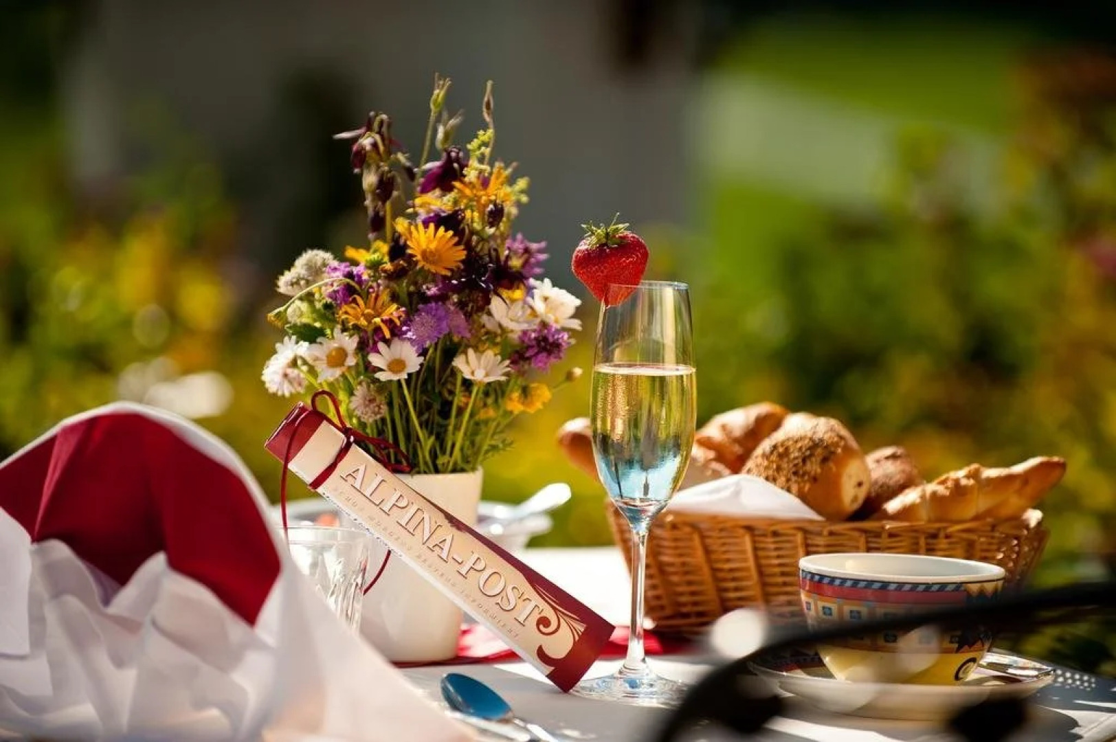 Hotel Alpina Wellness & Spa Resort