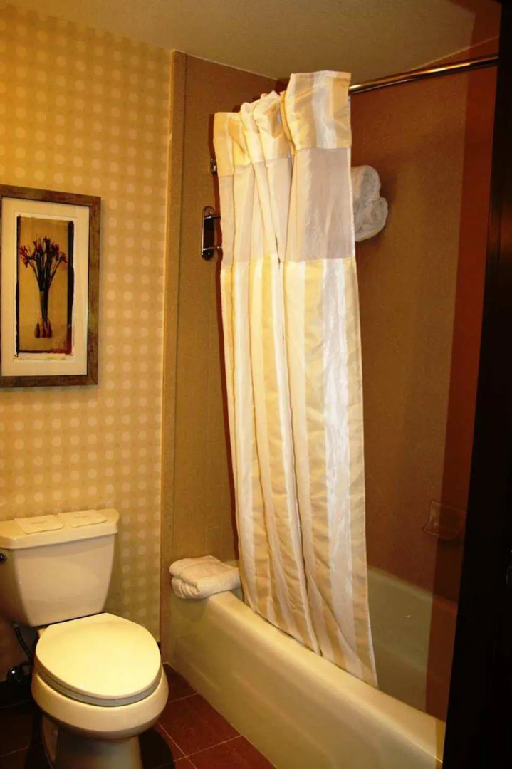 Hilton Garden Inn Houston West Katy