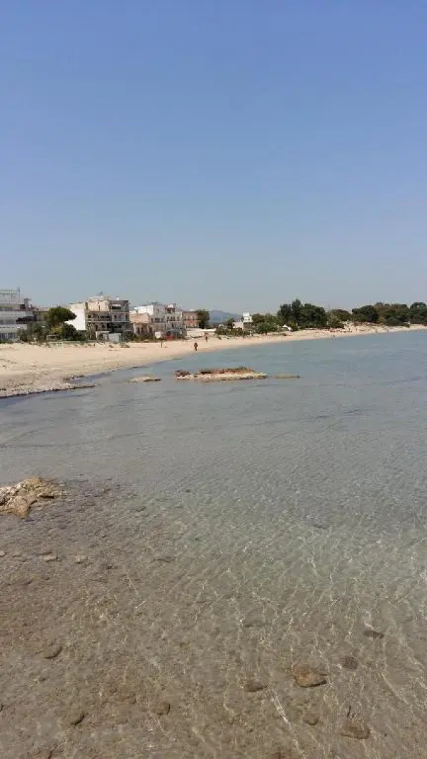 Nineta's House Sea View near the Airport