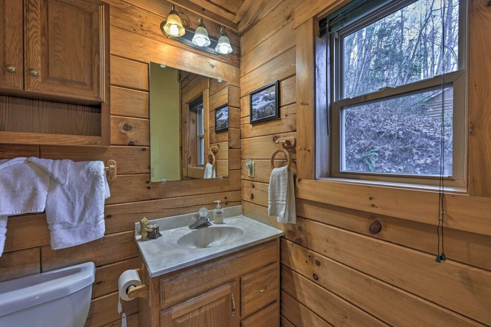 'bear Den' Cabin: Hot Tub, 4 Mi to Nantahala River