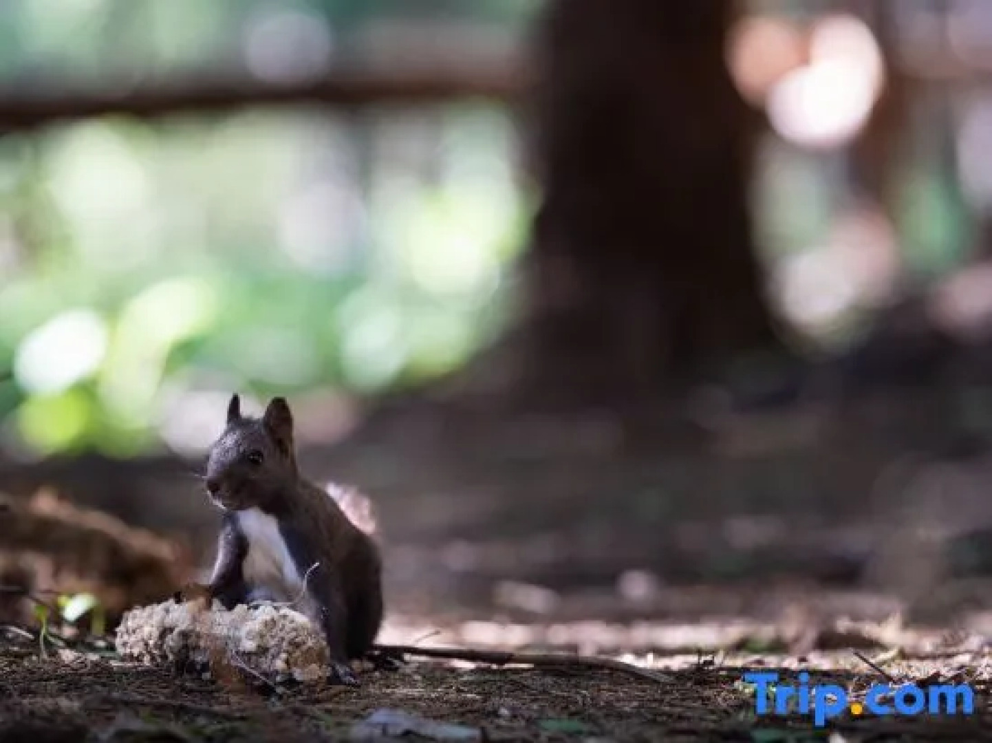 Hemu Ann Slow Homestay