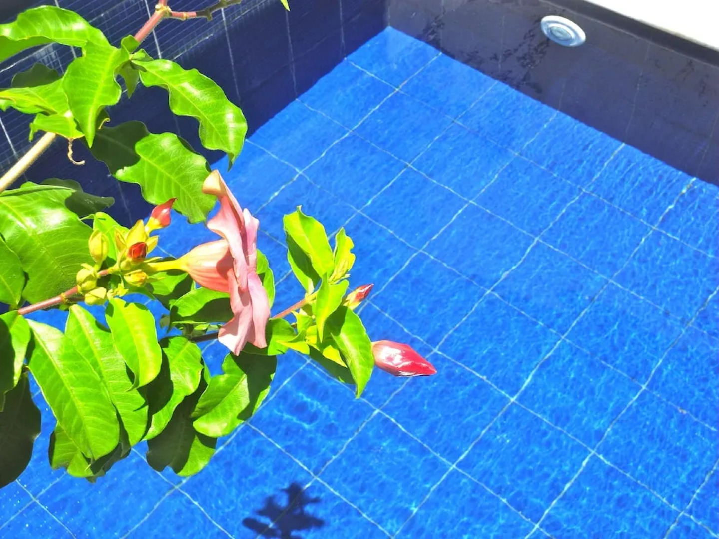 La Réserve Design Villas