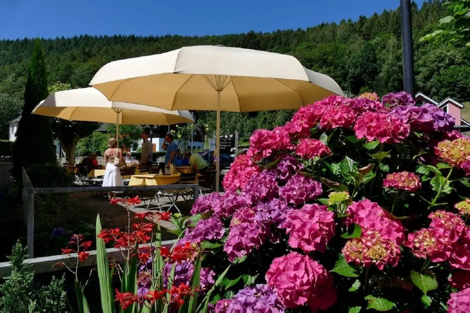 Waldhotel im Wiesengrund