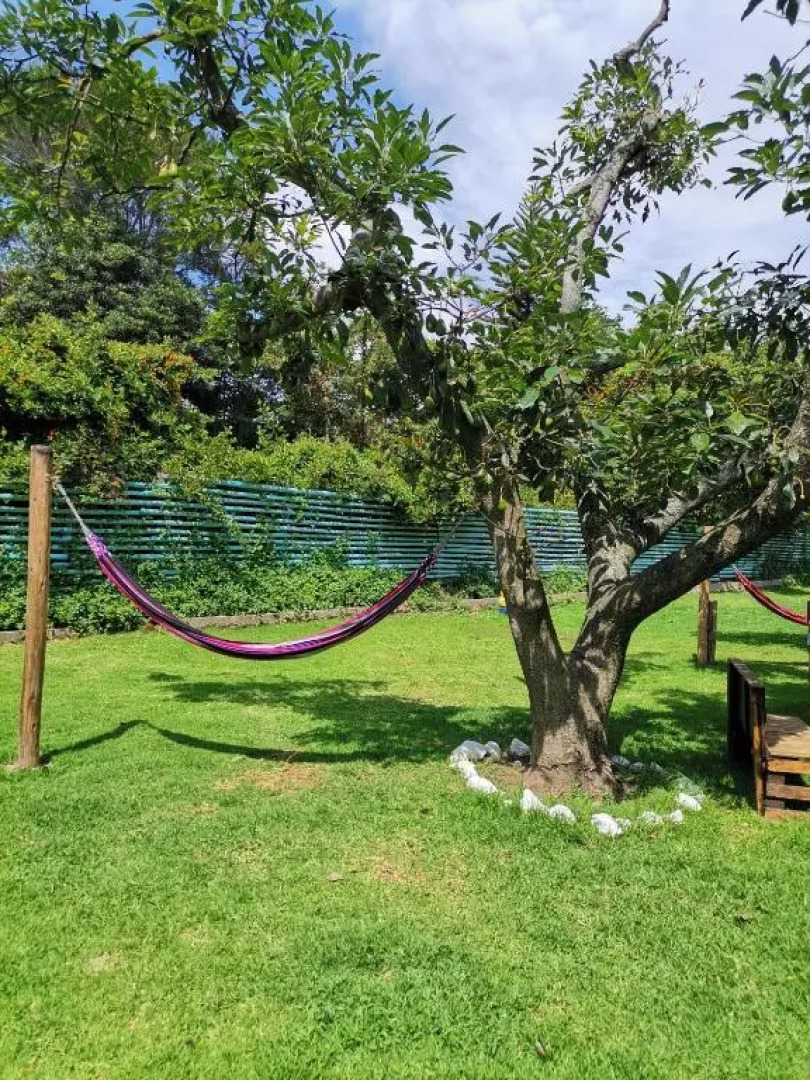 La Granja de Papá Alberto