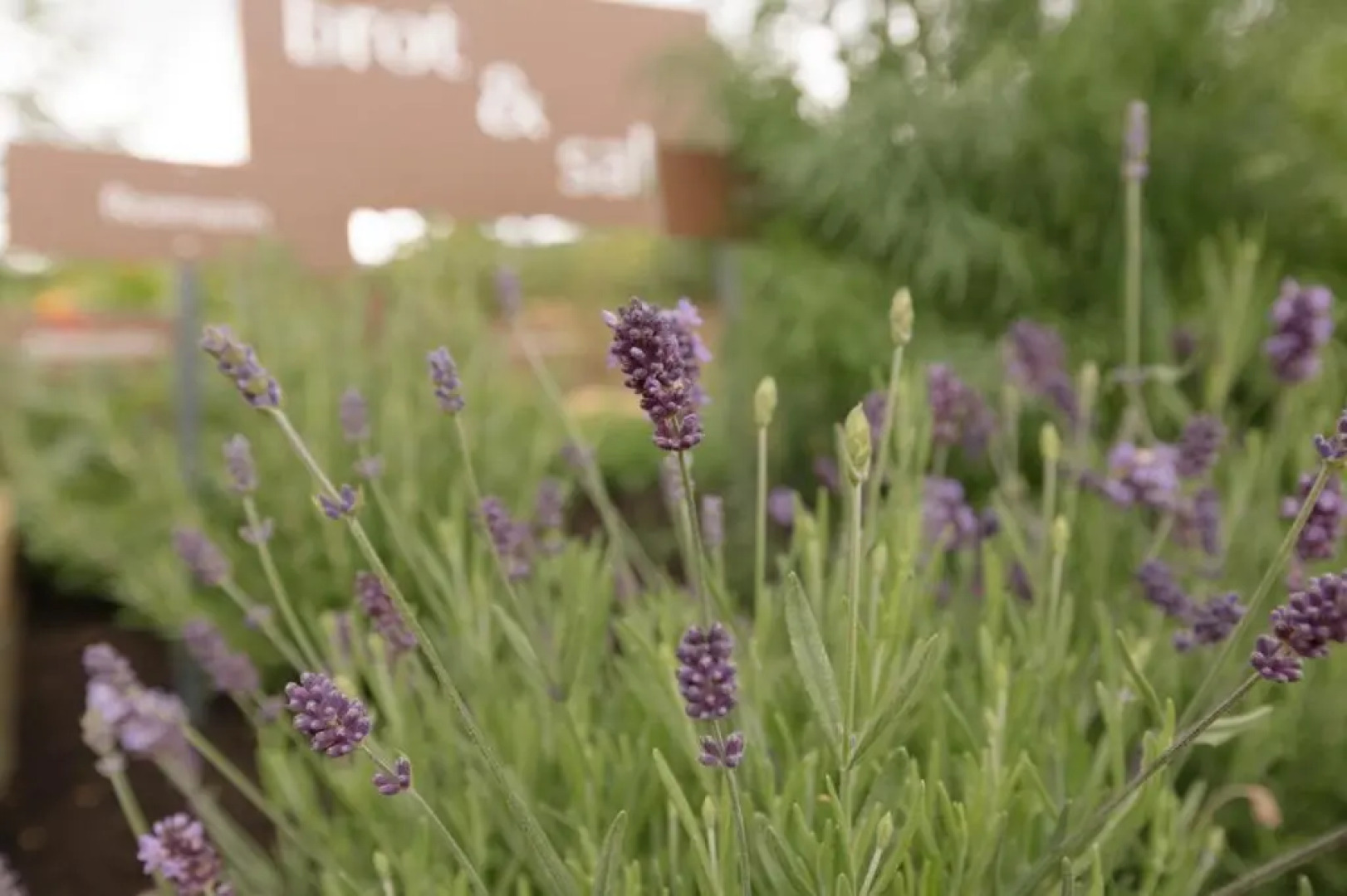 Ferienwohnung Sea Wieserhof