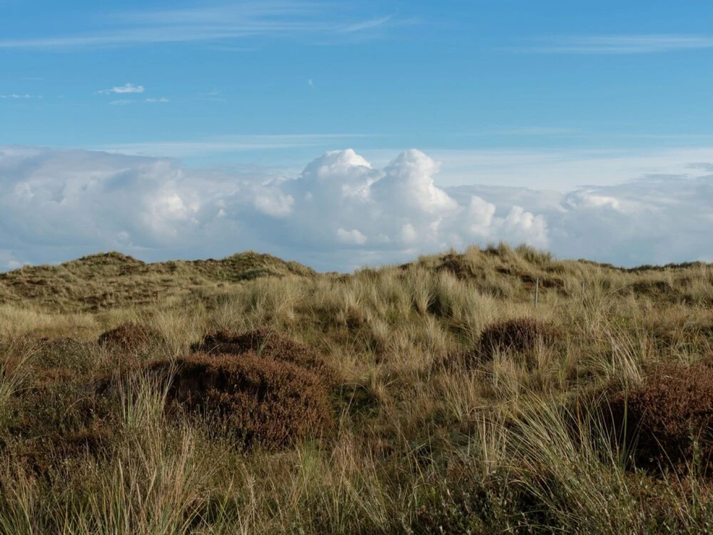 Quaint Apartment in Oosterend Terschelling near Sea