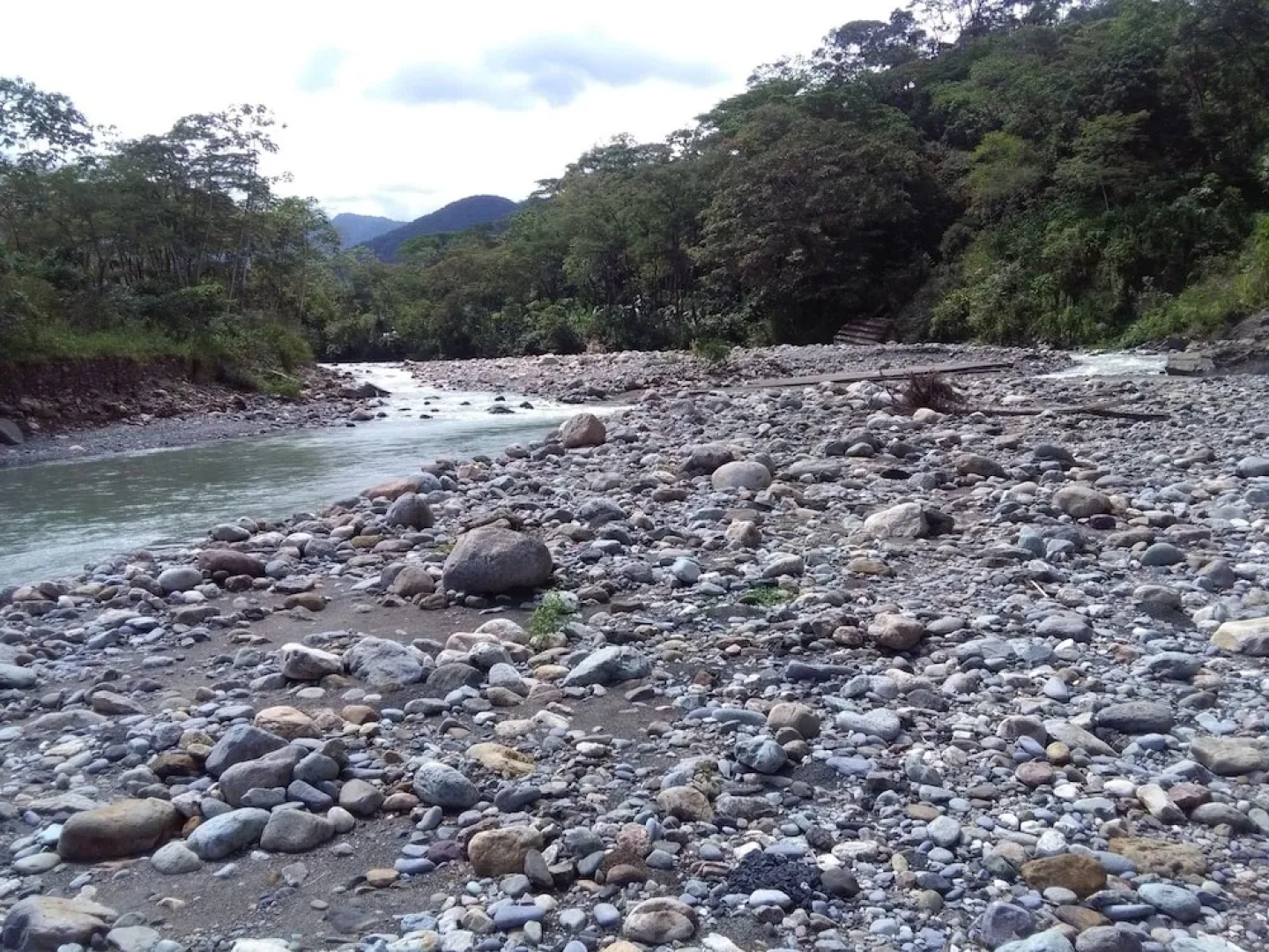 Bella Mar Verde