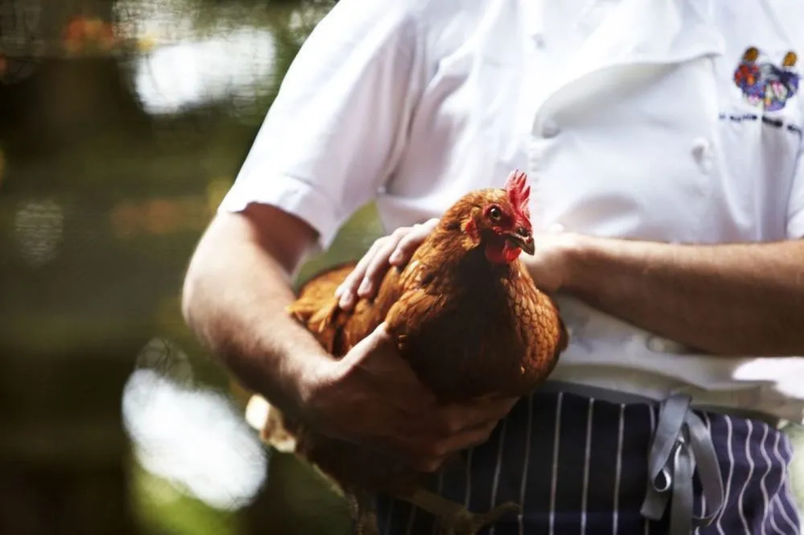 The Manor House Hotel and Golf Club