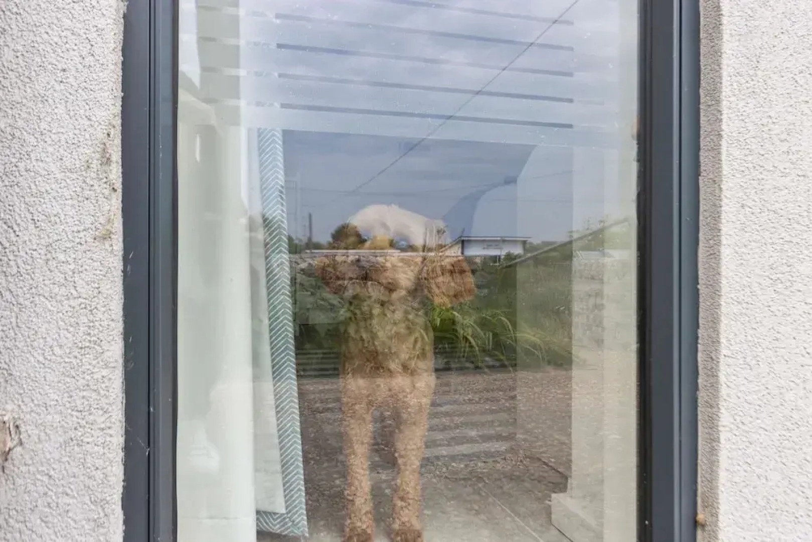 Seashells-stylish Coastal Living