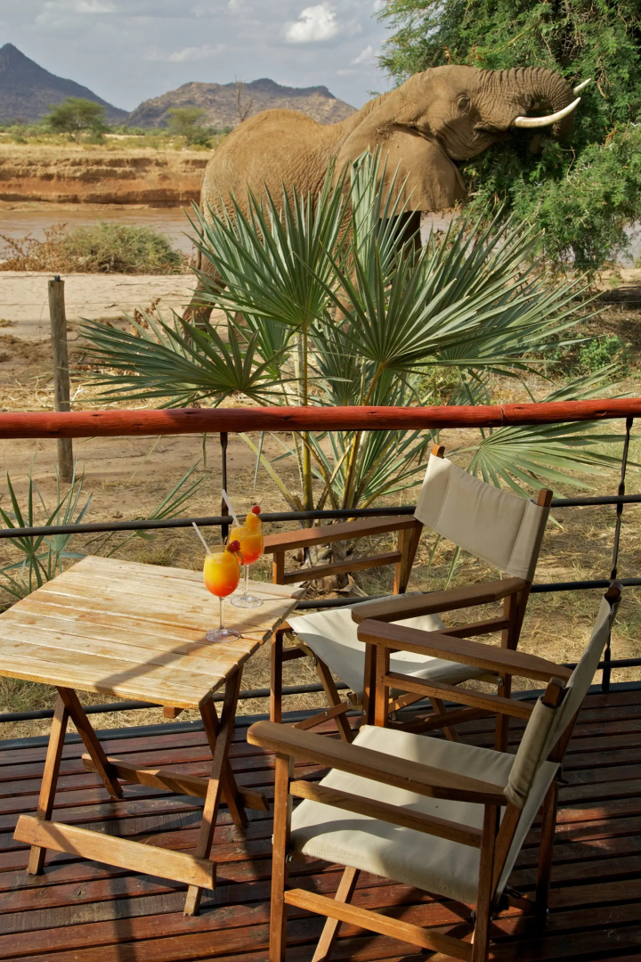 Ashnil Samburu Camp