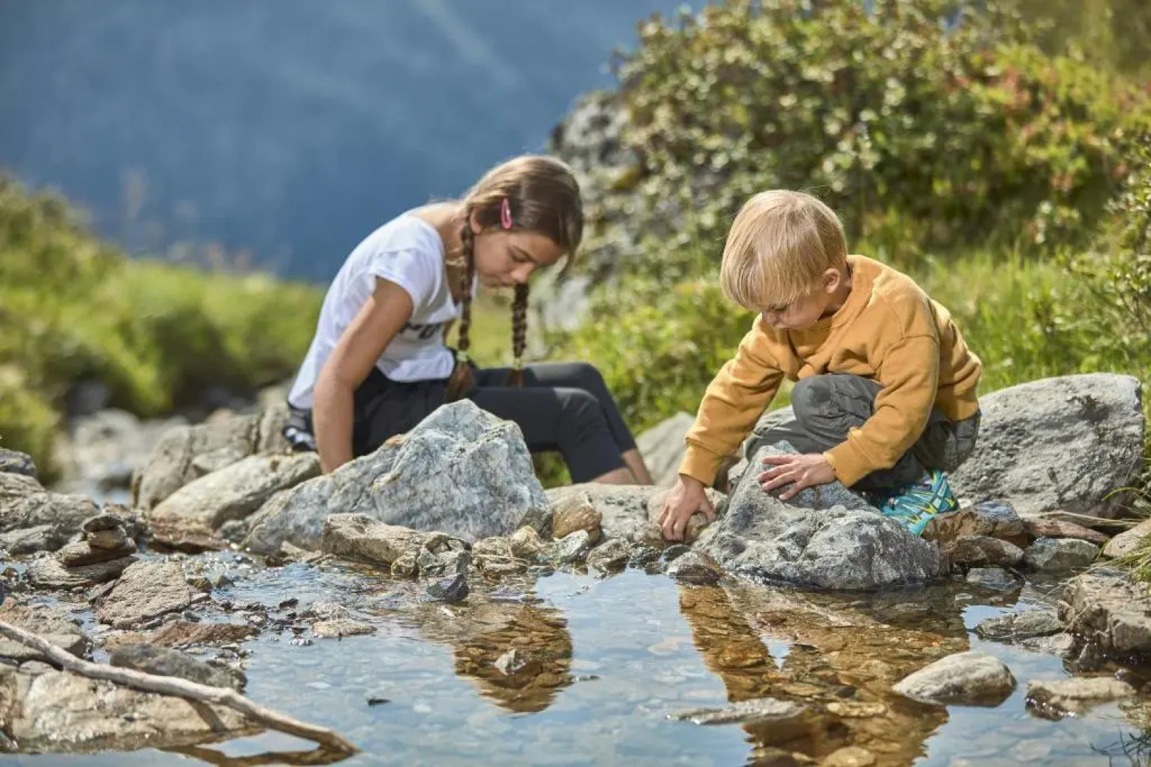 Alp Chalet Appartement