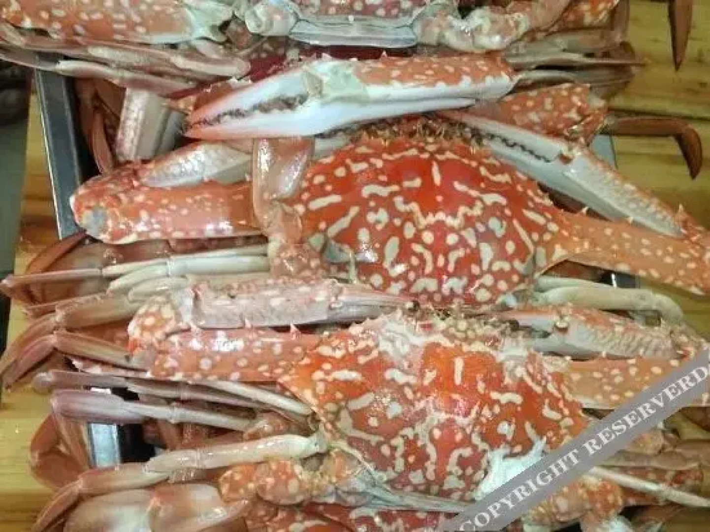 Junyi Hotel (Weizhou Island)