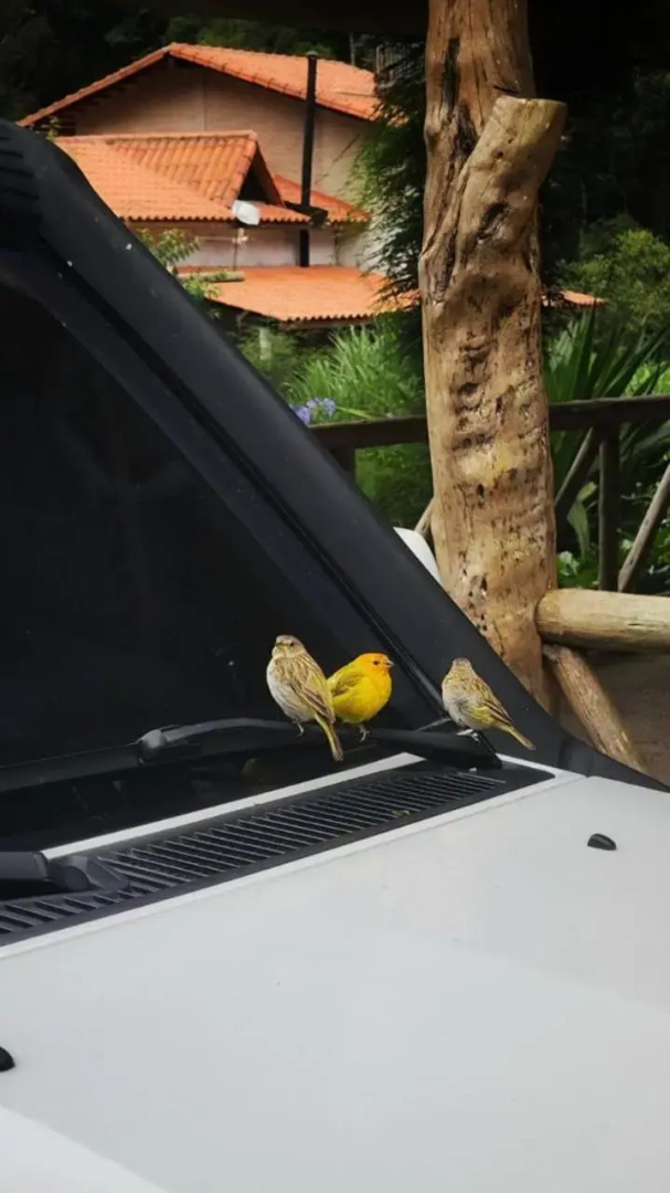 Rancho Pedra do Picú