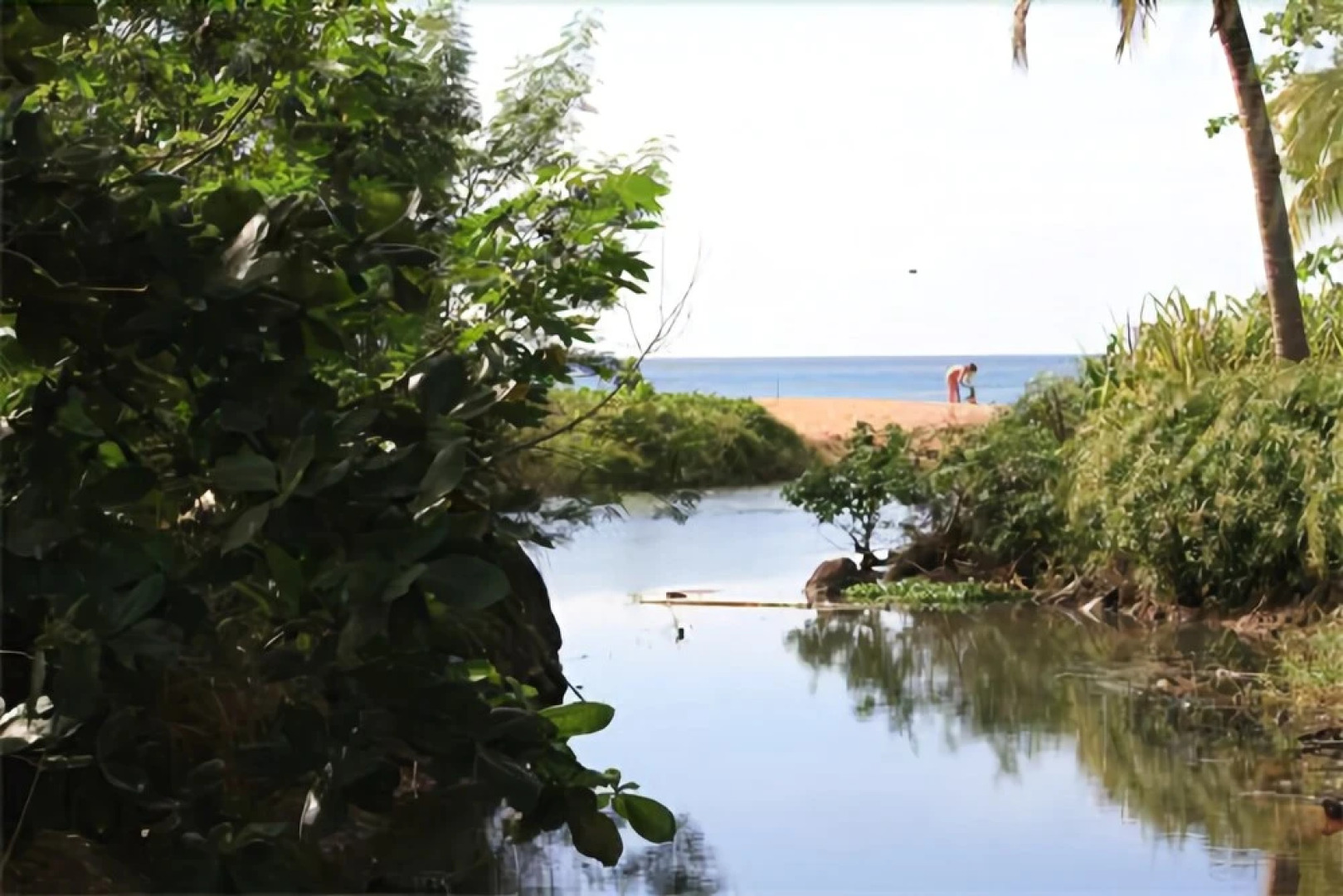 Oasis de Grande Anse