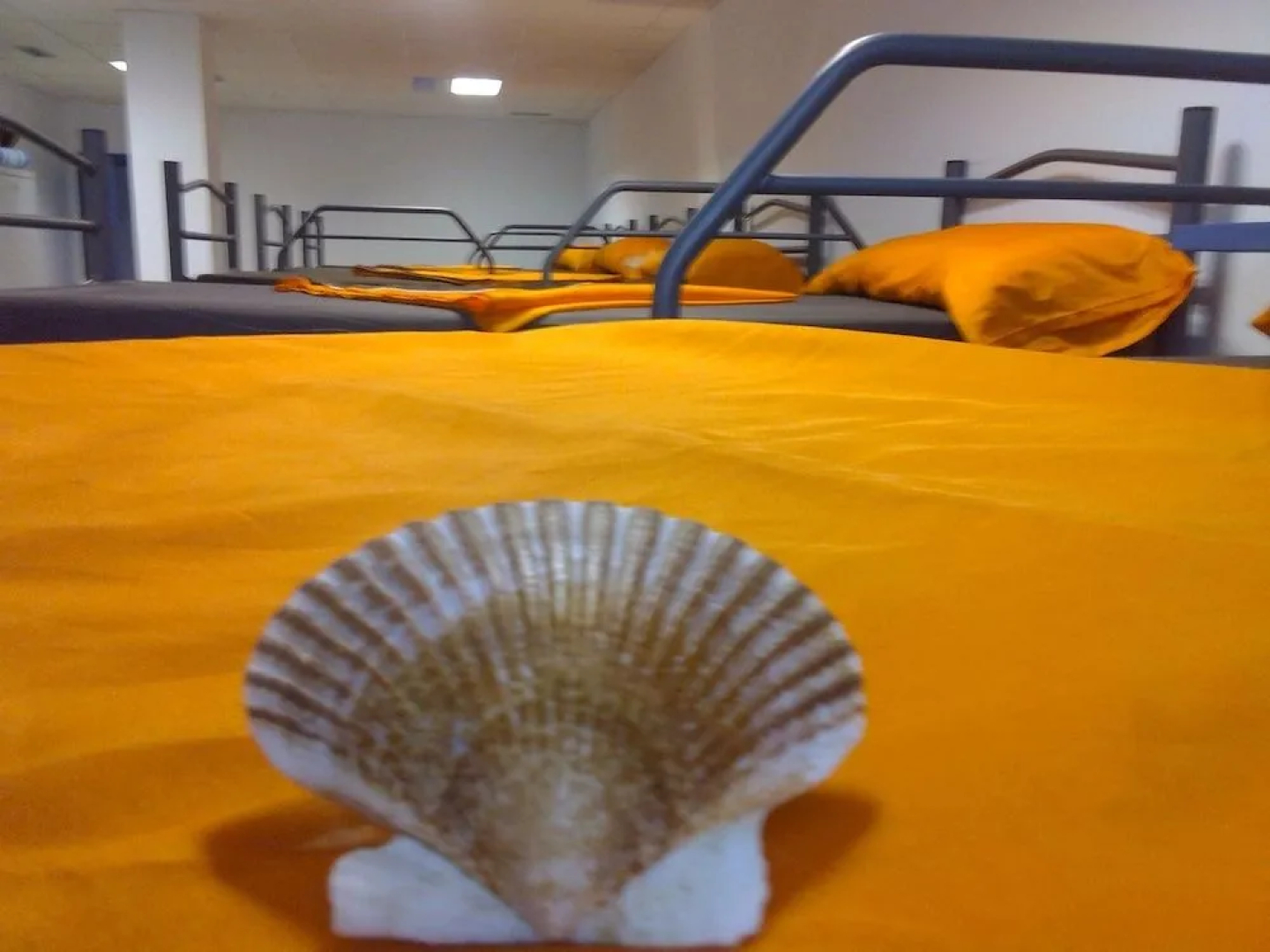 Albergue Mar y Montaña- Hostel