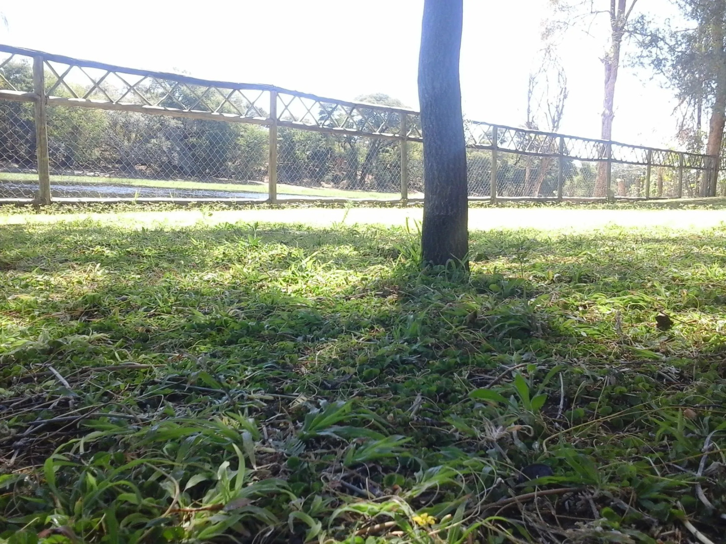 Enviro-Villa Luxury Inn