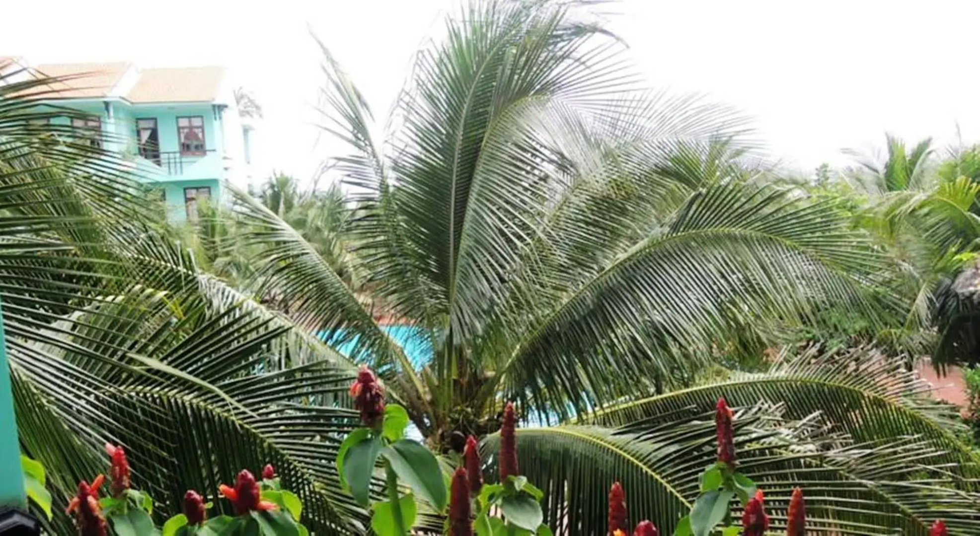 Pacific Beach Resort