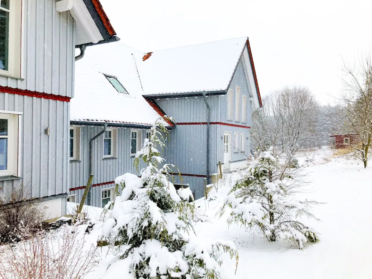 Bunter Bock  Die Harz-Urlaubs-Alm