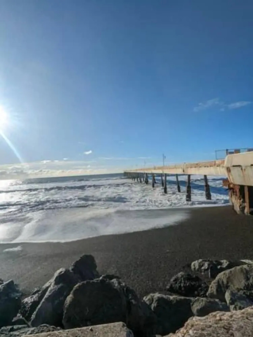 Coastal Palm Tree 2BR Retreat Ocean View