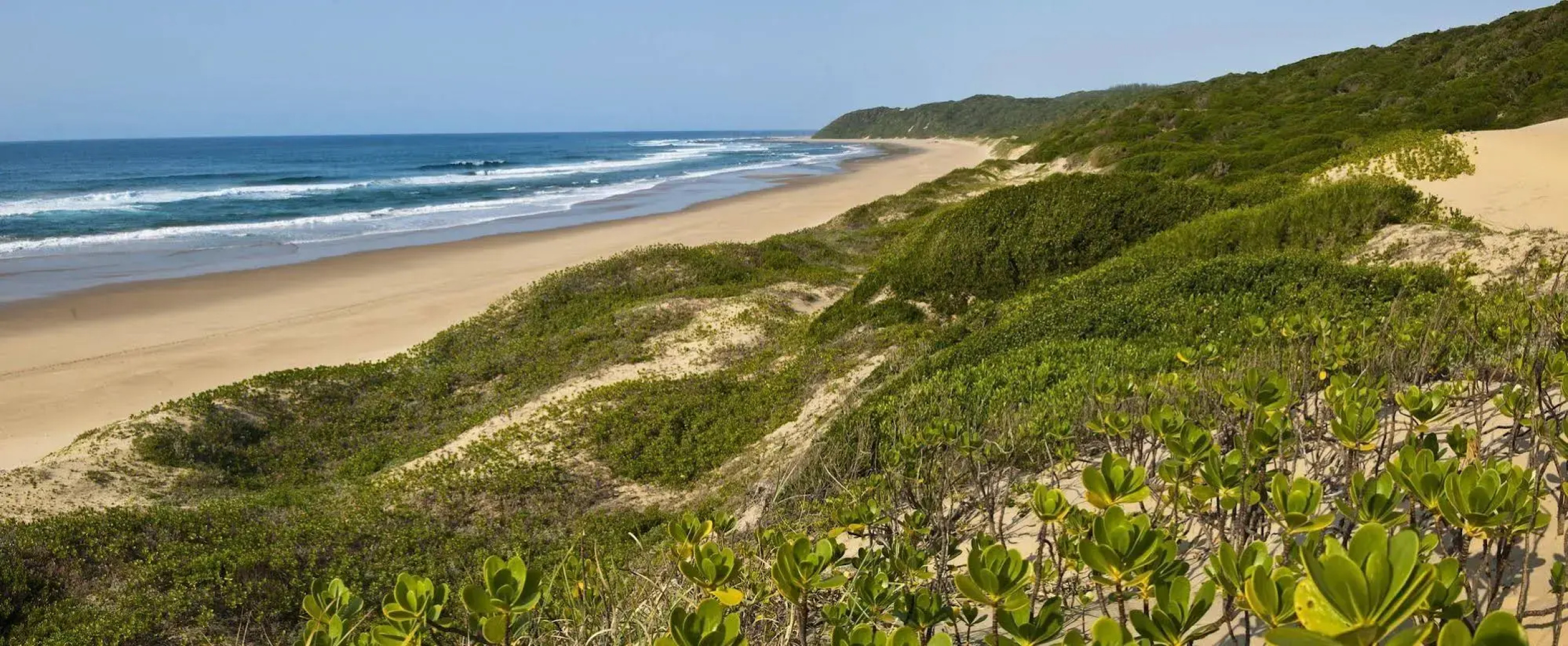Thonga Beach Lodge