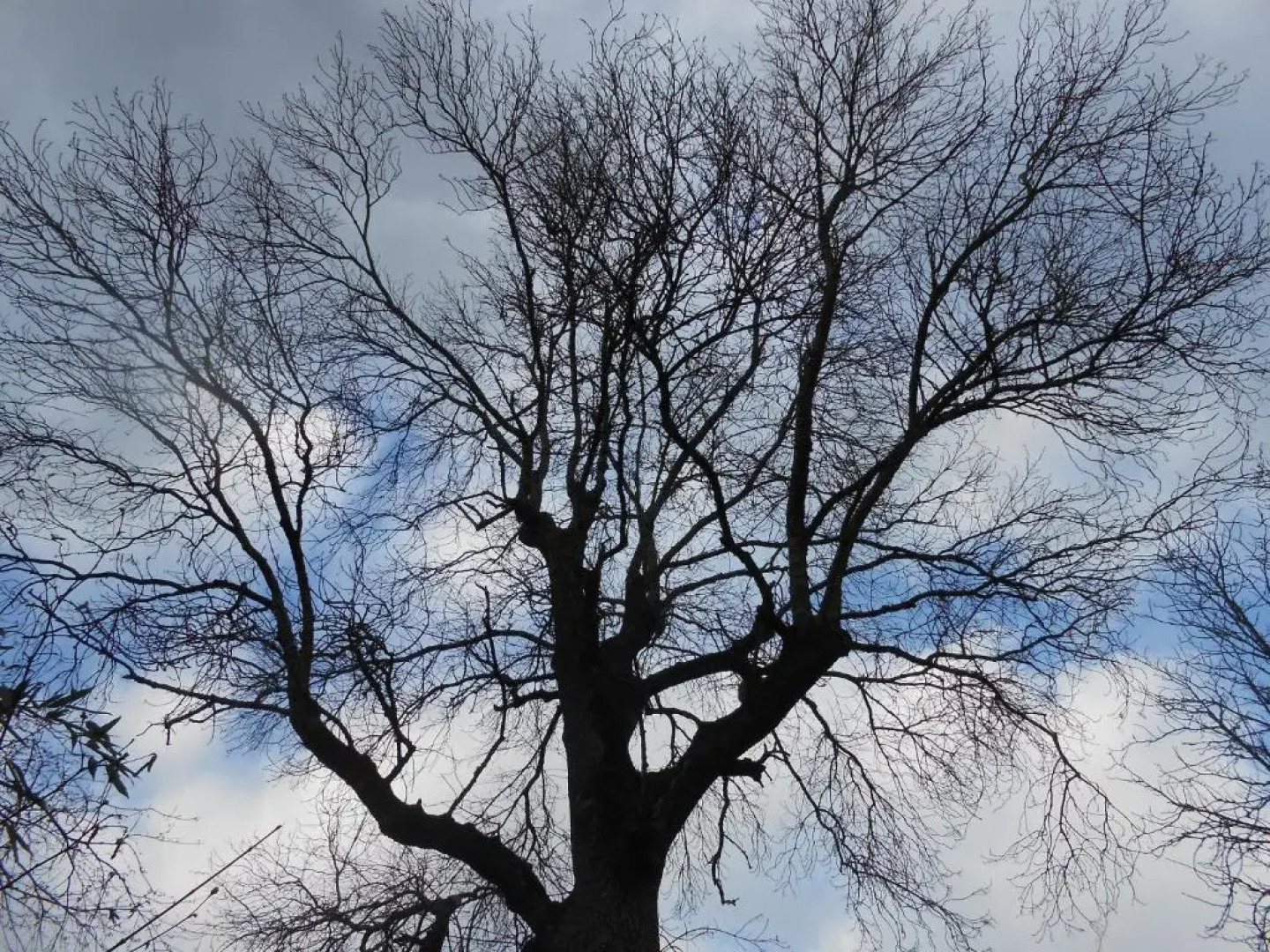 Logis de la Paqueraie