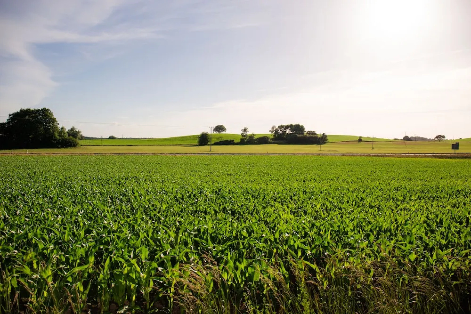 Landet Bed and Breakfast
