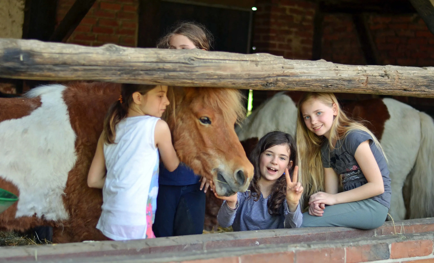 Ponyhof Georgenbruch