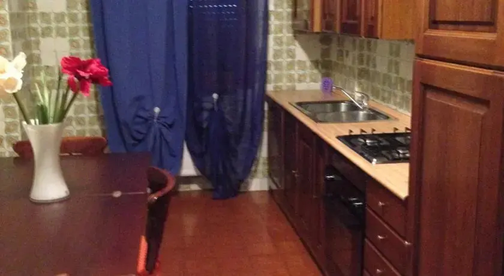 Penthouse of Mogliano