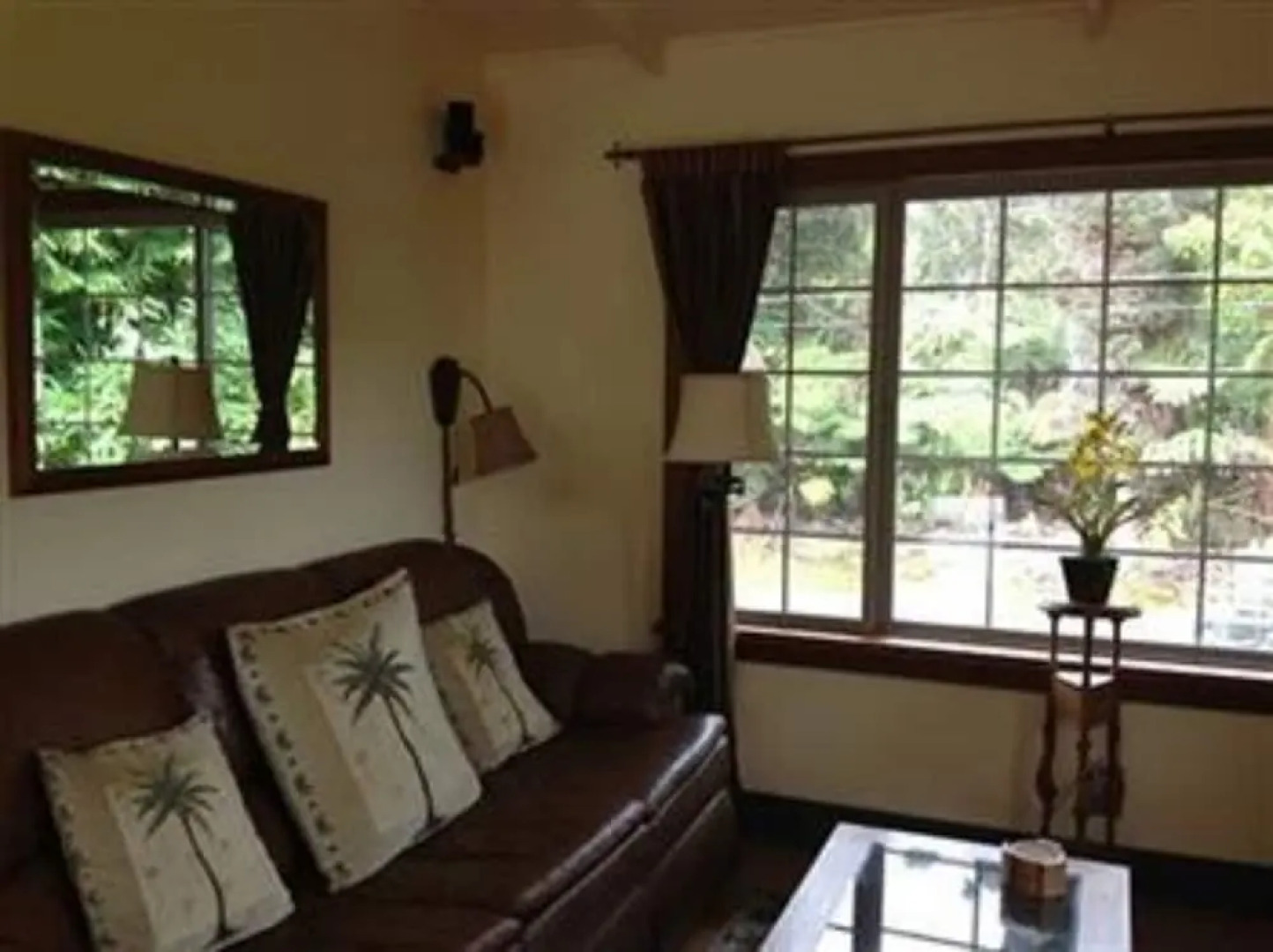 Volcano Big Tree Sanctuary