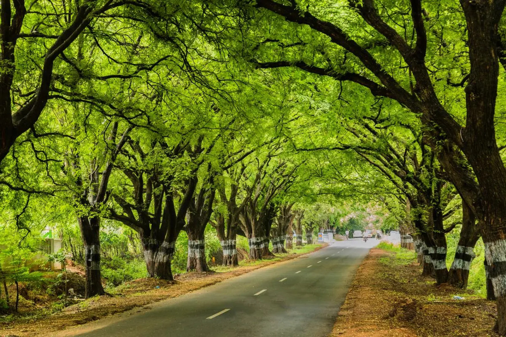 Sakthi River Resorts