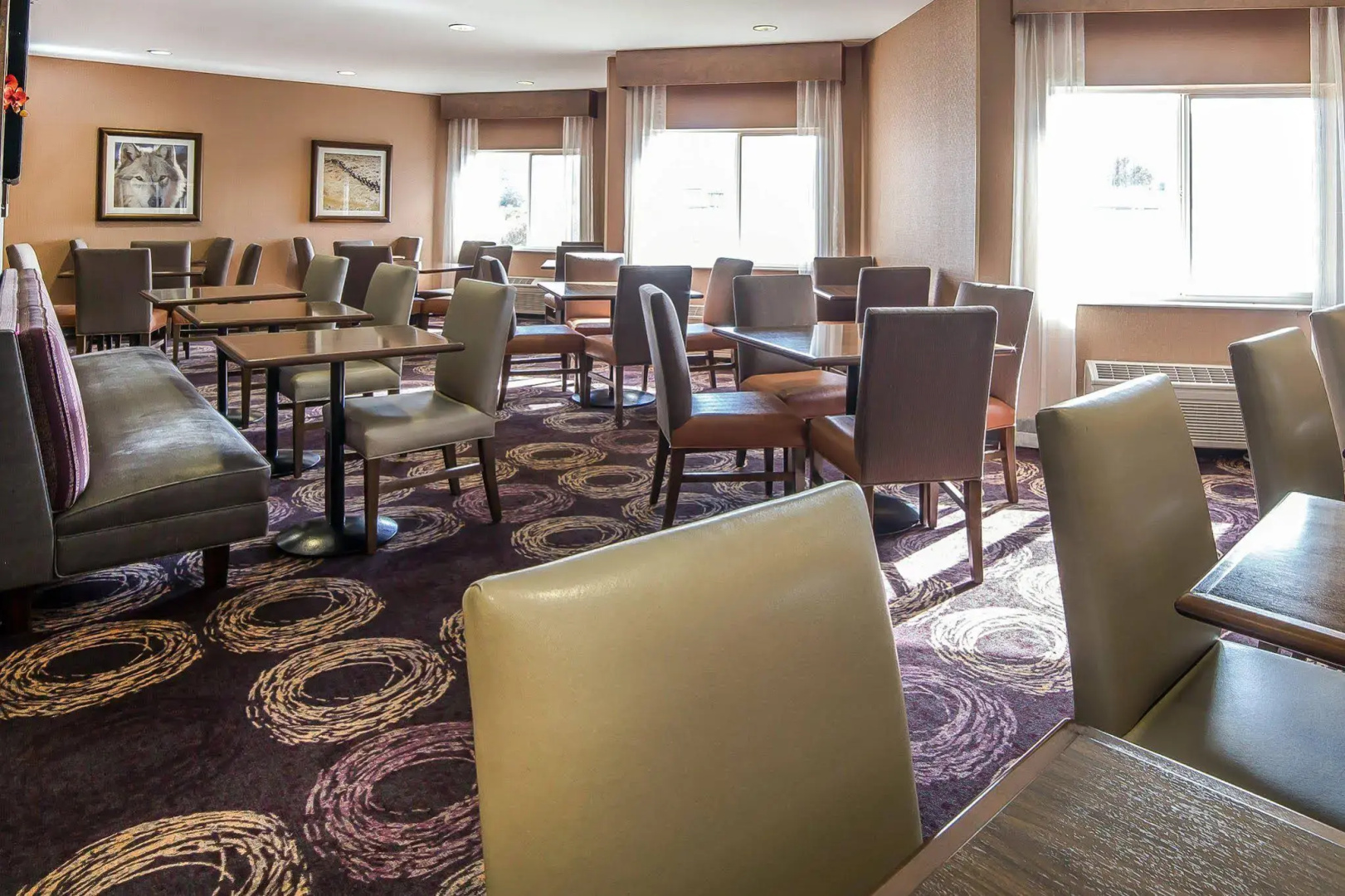 Comfort Inn & Suites Market - Airport