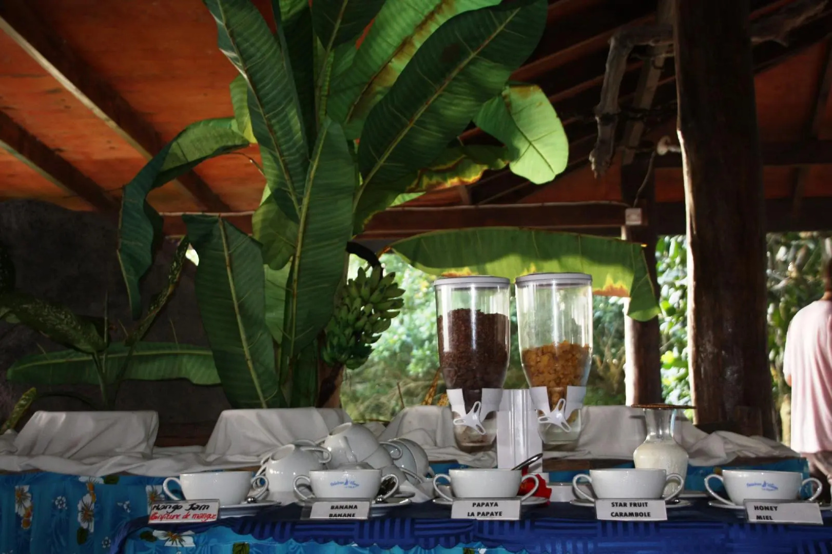 Hotel Patatran Village