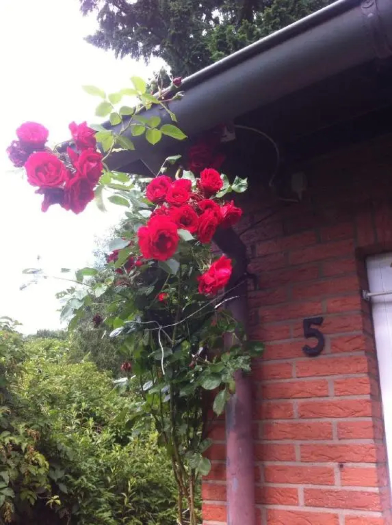 Ferienhaus Braunfels