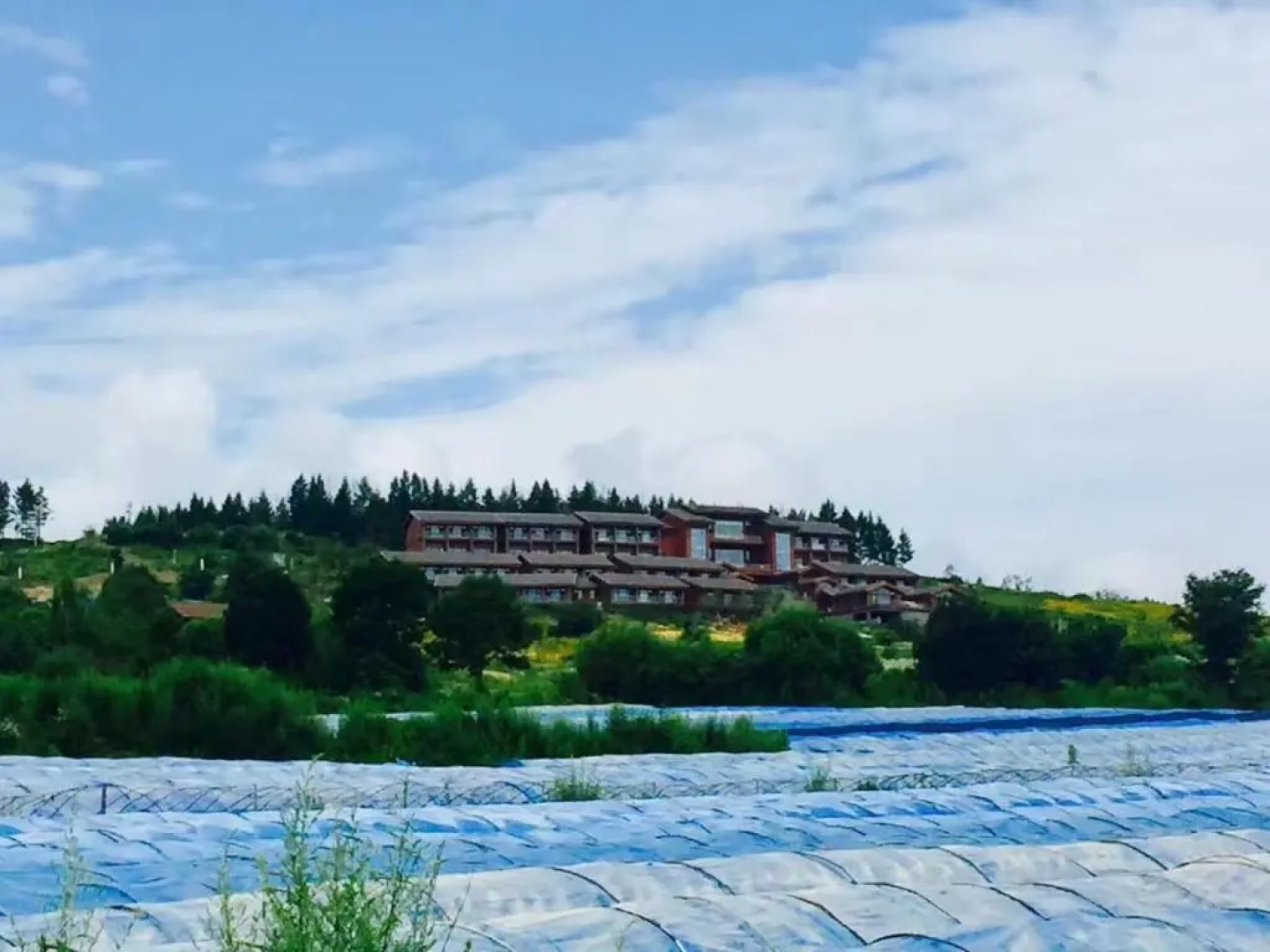The View Hotel Changbai Mountain - MGallery Collection