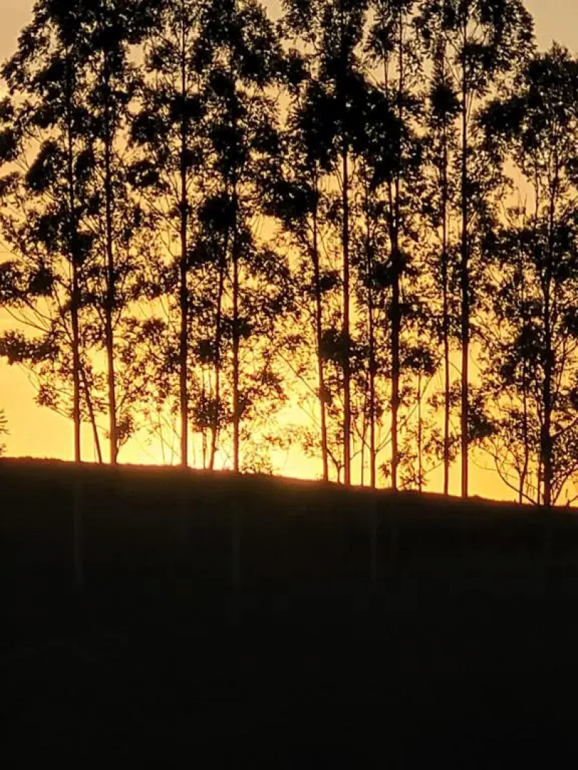 Holiday home Estância Liberdade