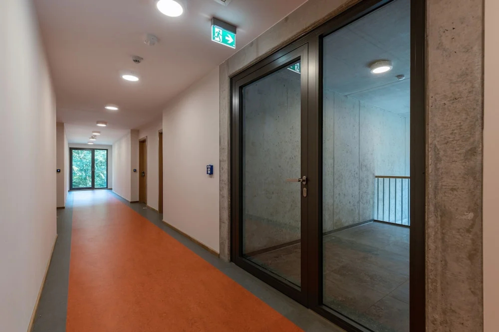 Hotel 11 Eulen