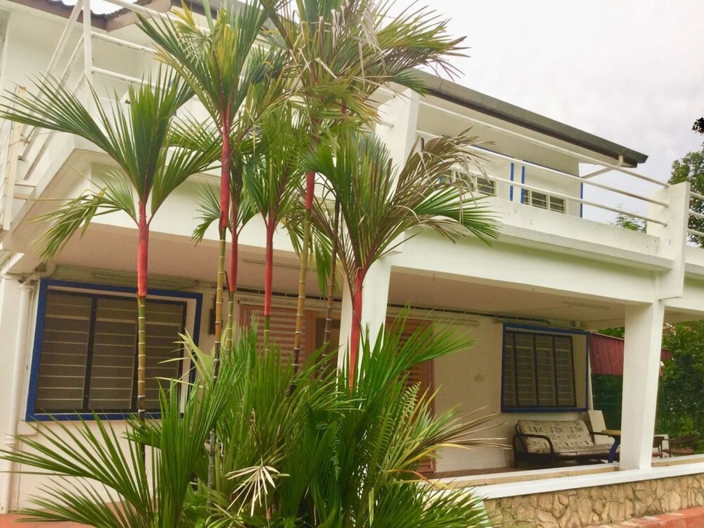 Sea Lion by the Beach
