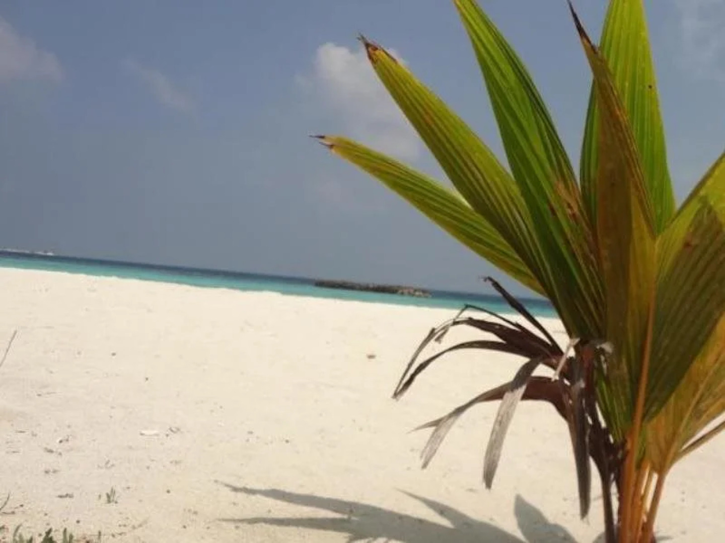 Variety Stay Guesthouse