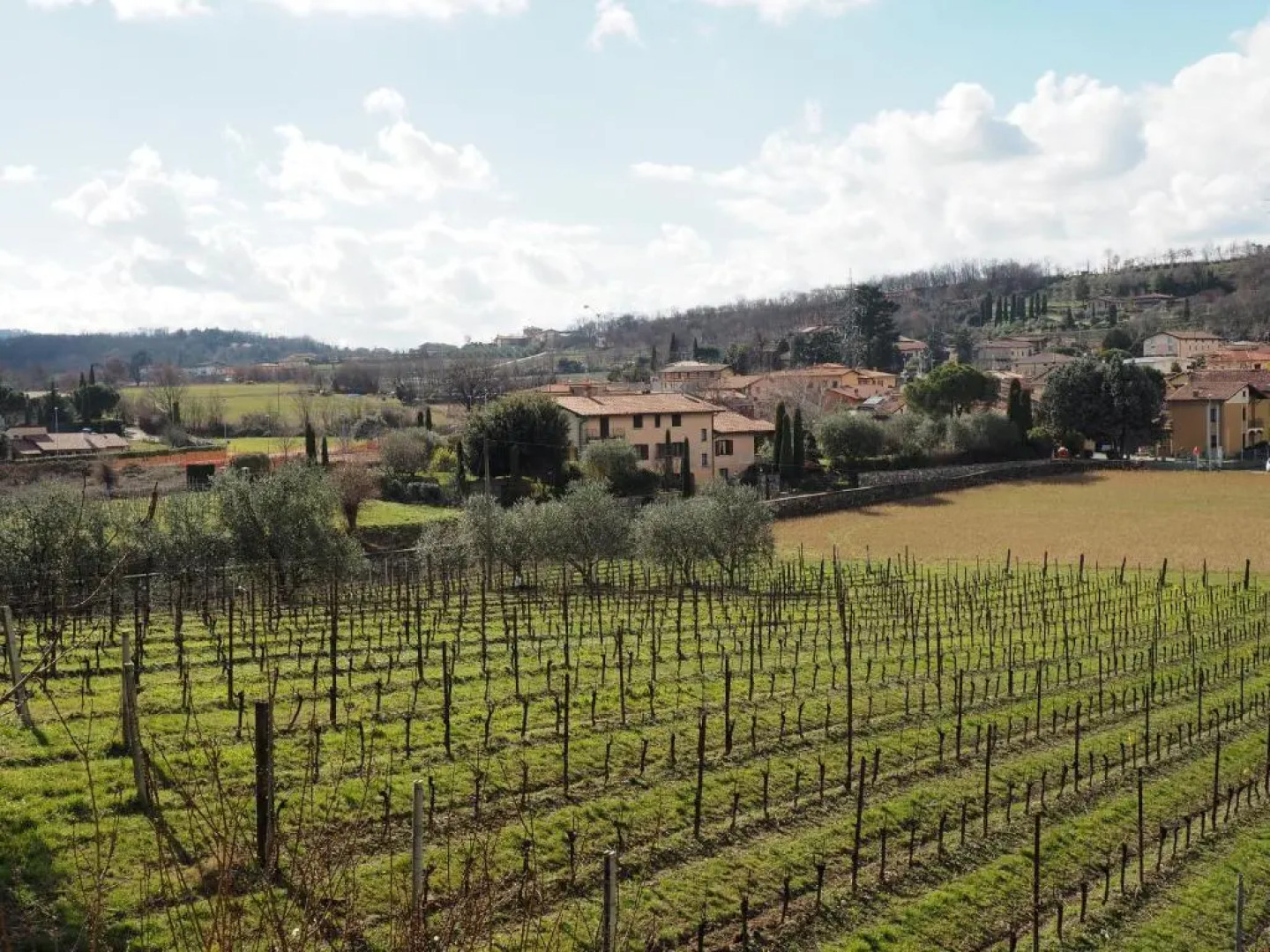 casa vacanze da angelo