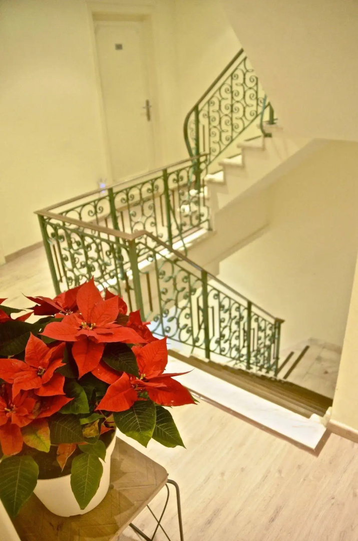 Hotel Amaryllis