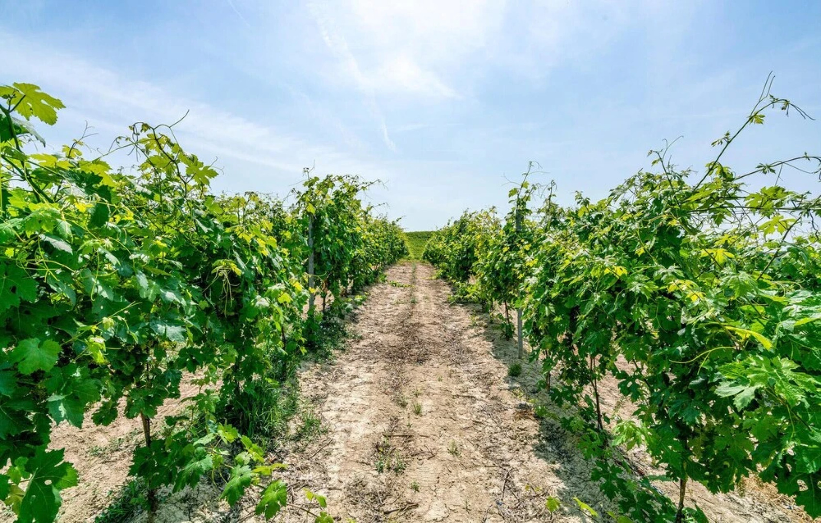 Stunning Home in Fontanile With 2 Bedrooms and Wifi